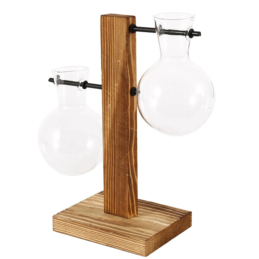 Plant Terrarium Vase Decoration
