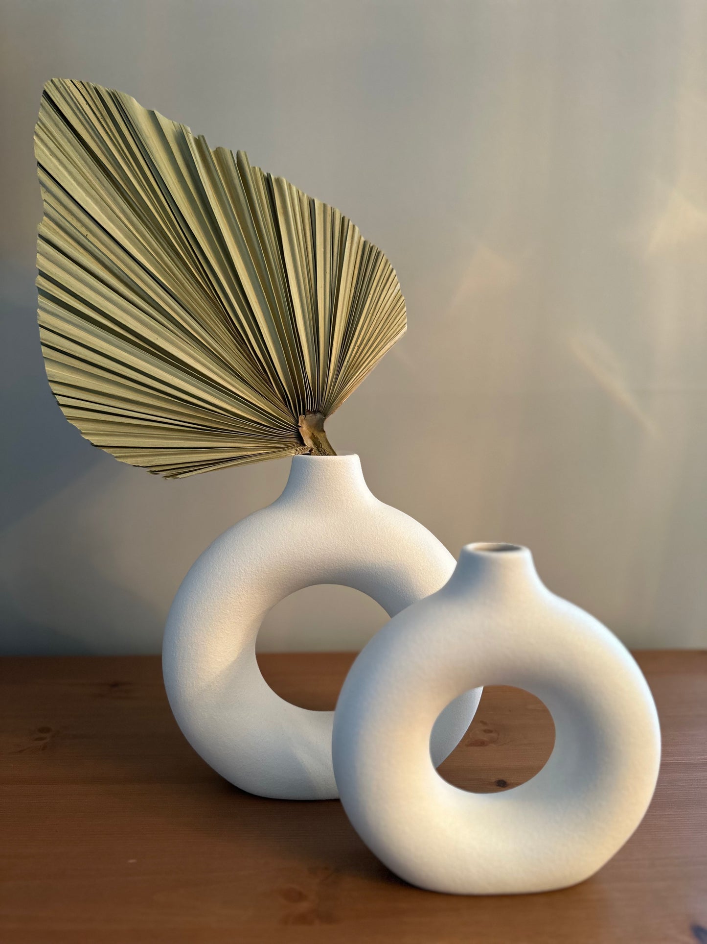 Natural Dried Palm Leaves Decor - set of 5