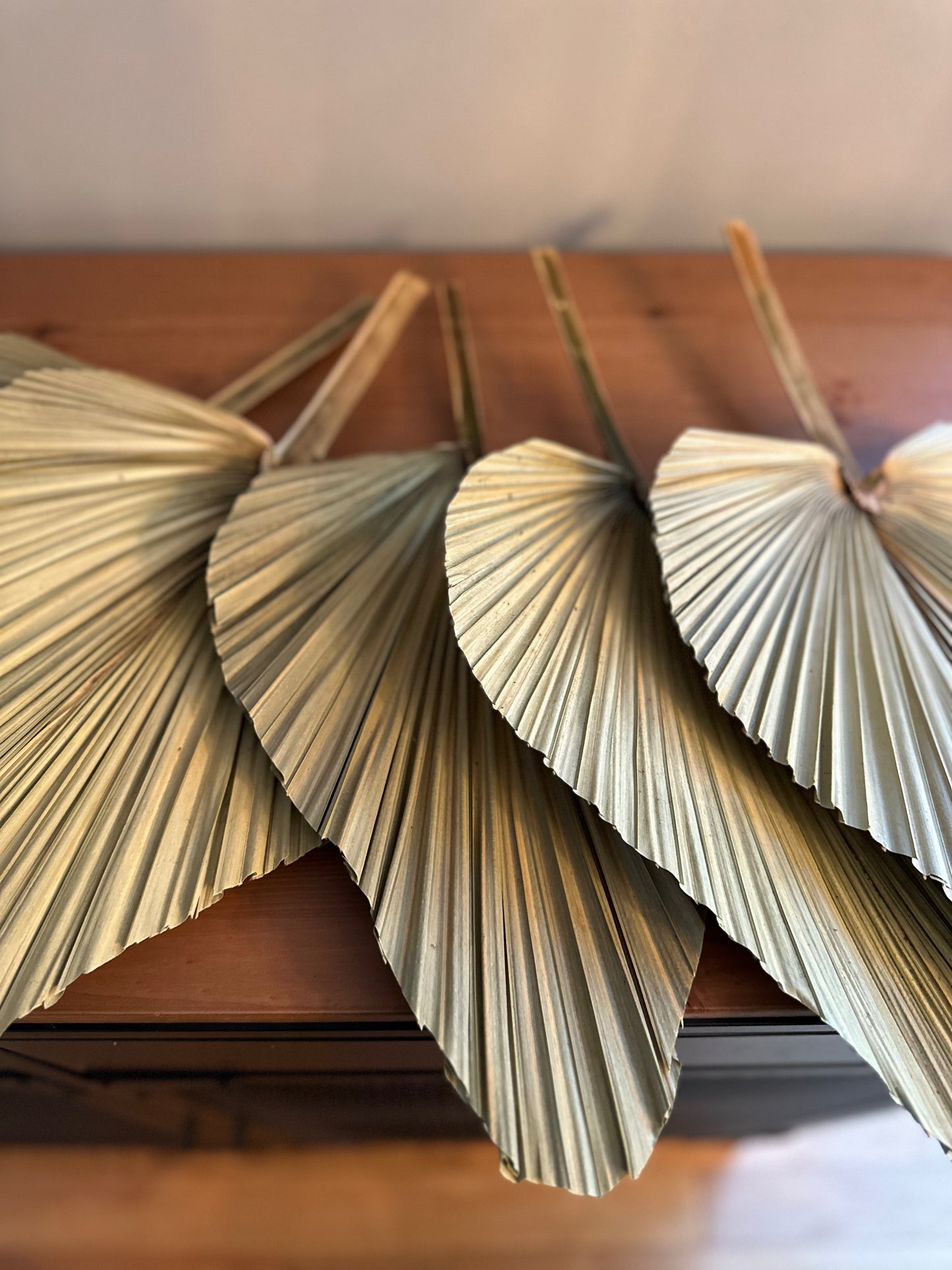 Natural Dried Palm Leaves Decor - set of 5