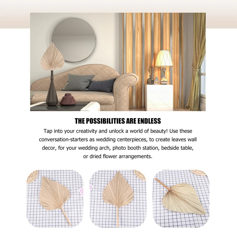 Natural Dried Palm Leaves Decor - set of 5