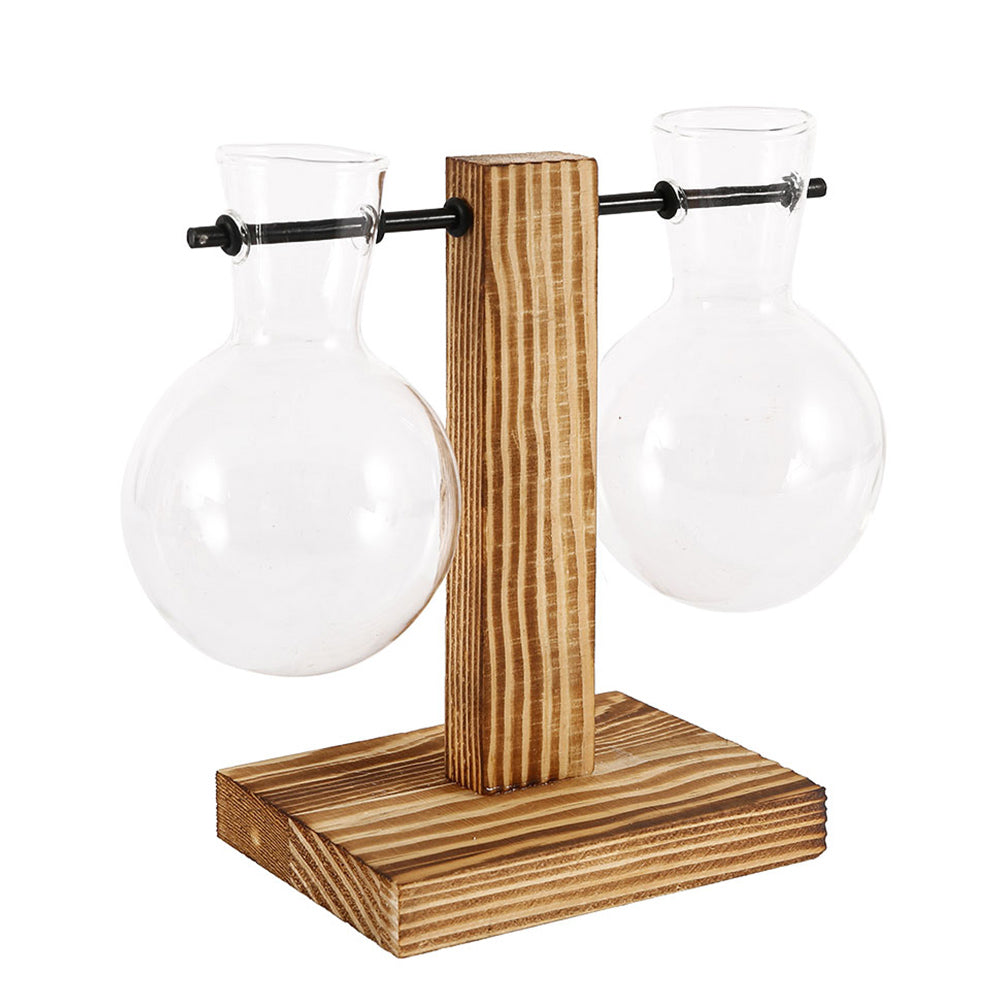 Plant Terrarium Vase Decoration