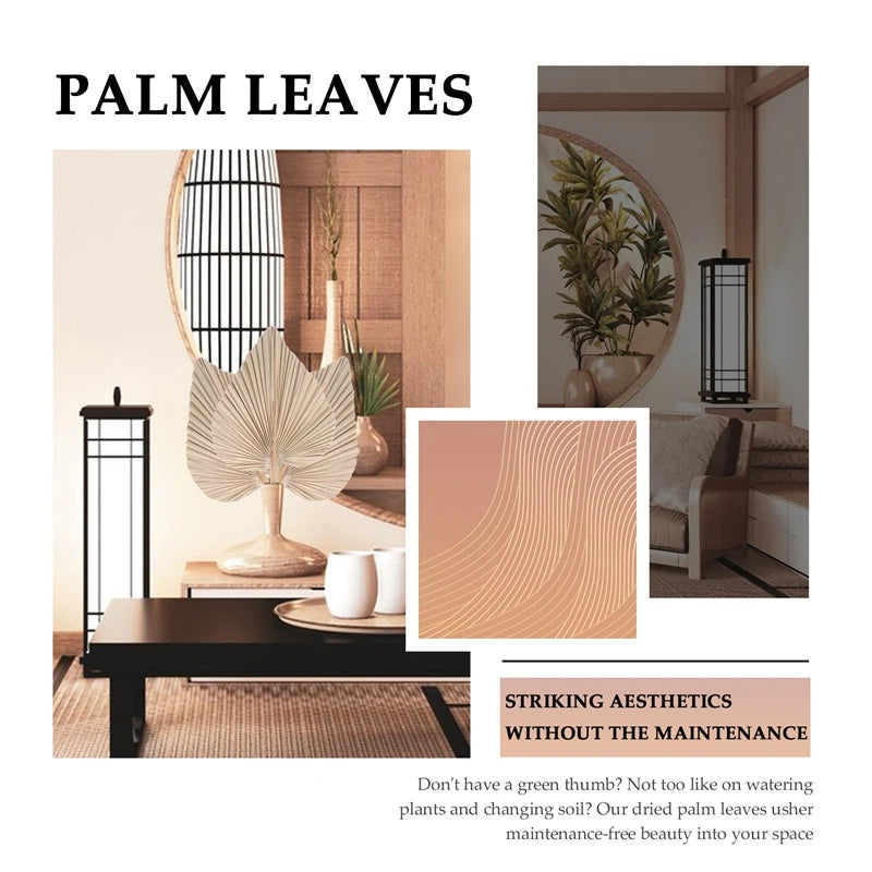 Natural Dried Palm Leaves Decor - set of 5