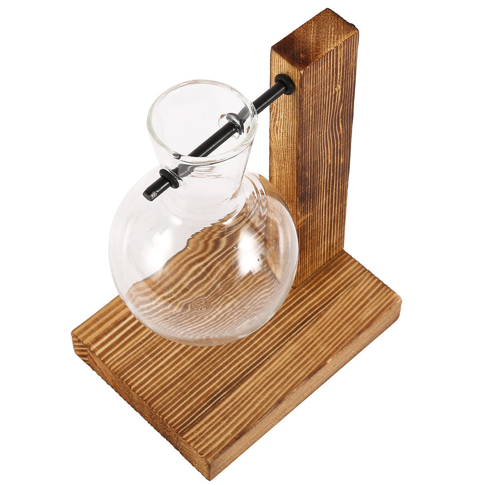 Plant Terrarium Vase Decoration