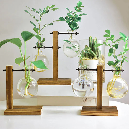 Plant Terrarium Vase Decoration