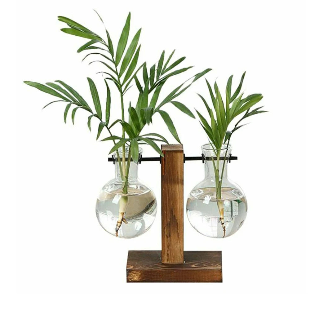 Plant Terrarium Vase Decoration