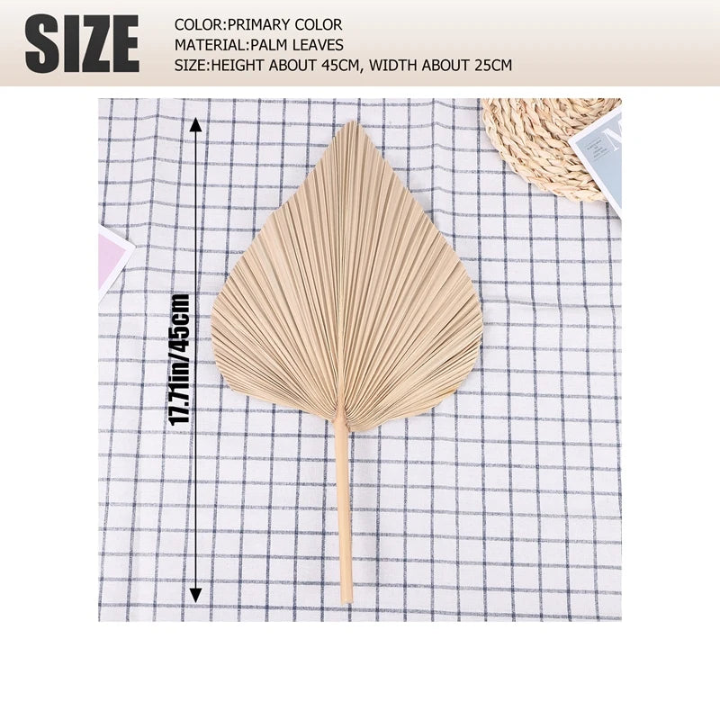 Natural Dried Palm Leaves Decor - set of 5