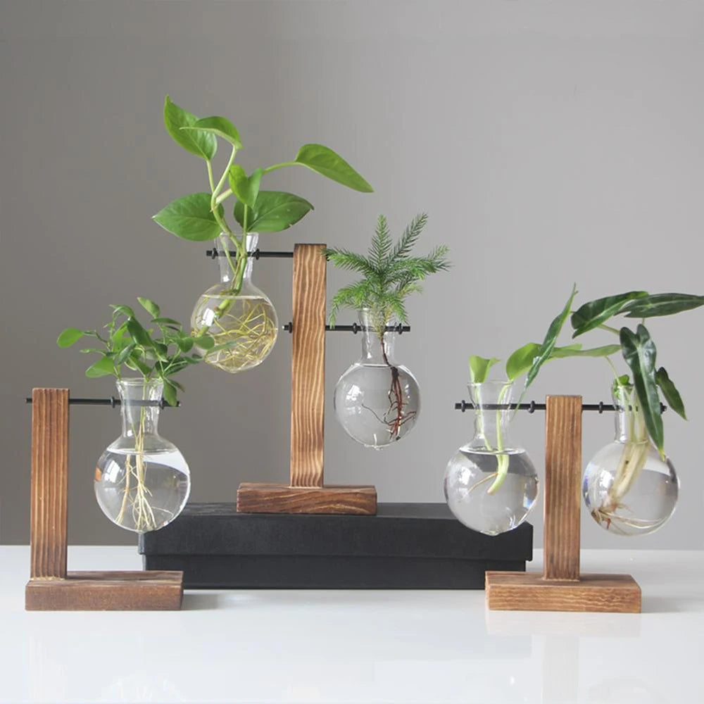 Plant Terrarium Vase Decoration