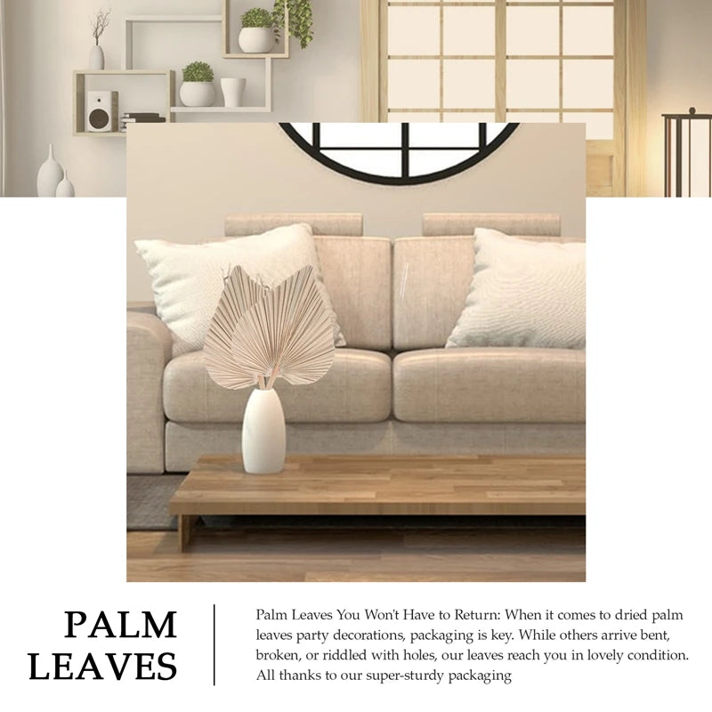 Natural Dried Palm Leaves Decor - set of 5