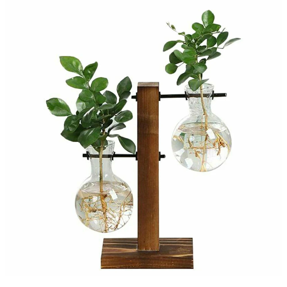 Plant Terrarium Vase Decoration