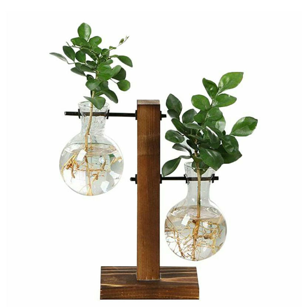 Plant Terrarium Vase Decoration