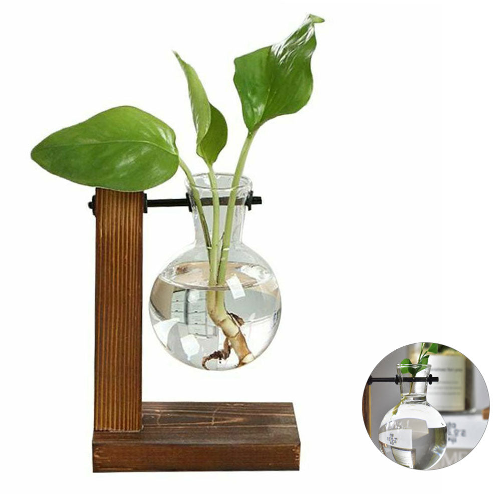 Plant Terrarium Vase Decoration
