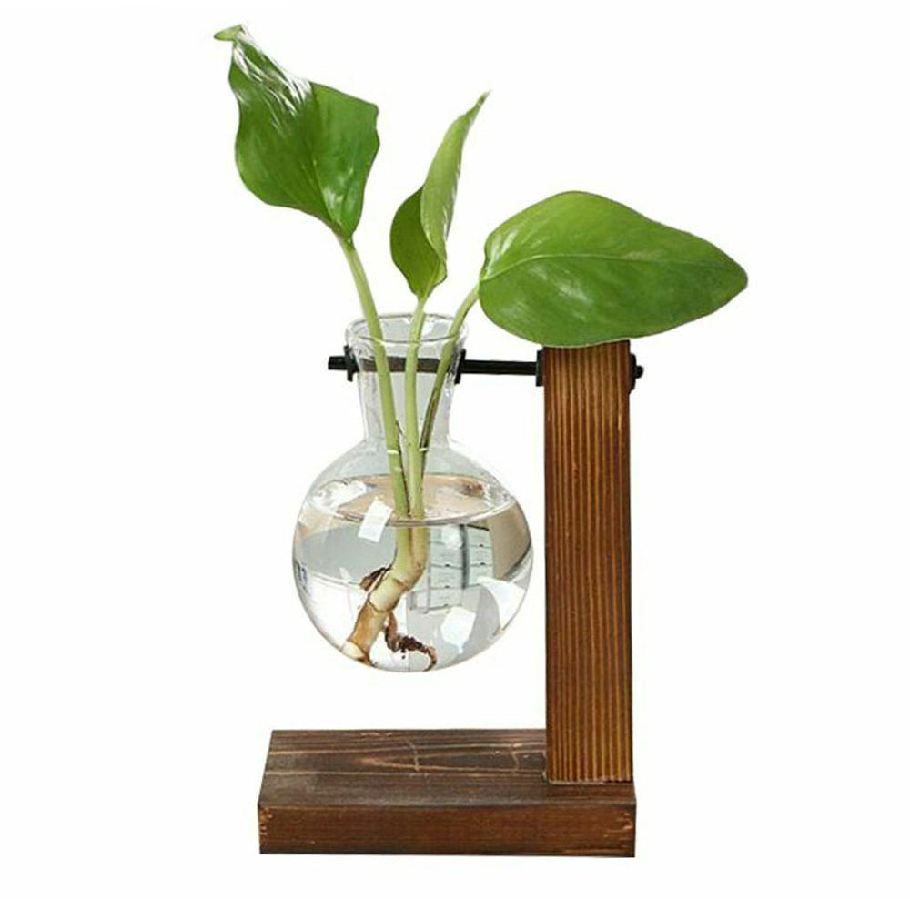 Plant Terrarium Vase Decoration