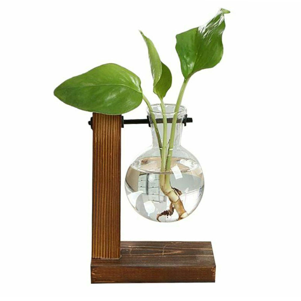 Plant Terrarium Vase Decoration