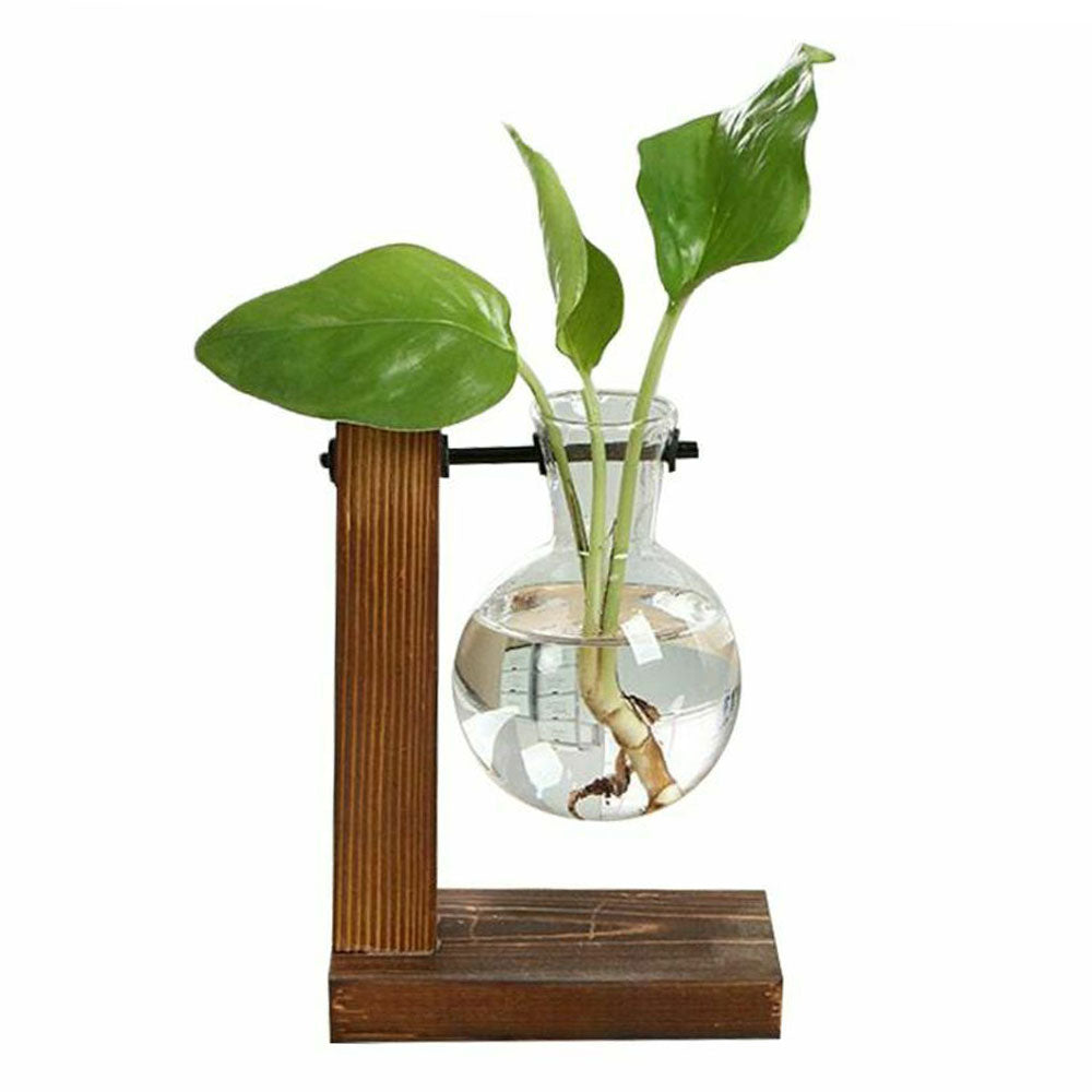 Plant Terrarium Vase Decoration