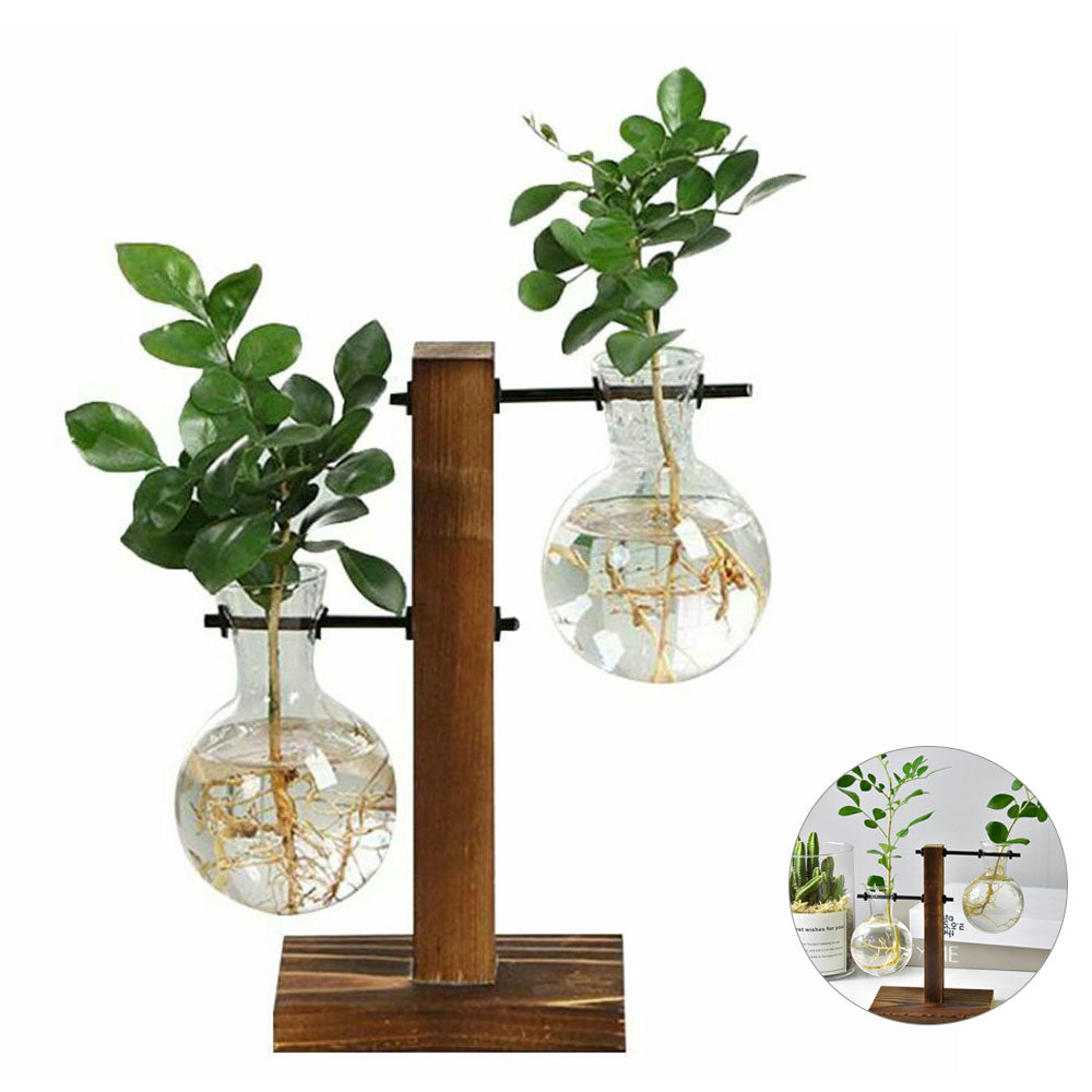 Plant Terrarium Vase Decoration