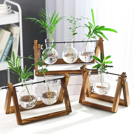 Terrarium Plant Vases with Wooden Stand