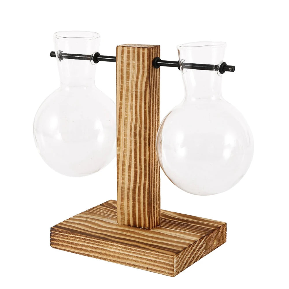 Plant Terrarium Vase Decoration